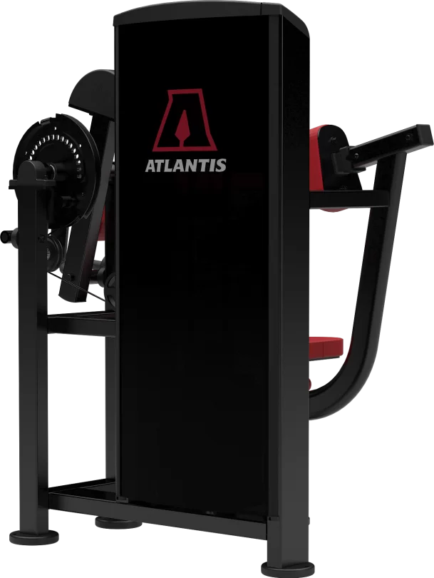 Atlantis Precision Biceps-Triceps Combo Machine